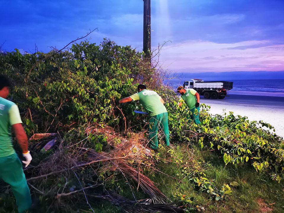 Restinga: a vegetação do litoral